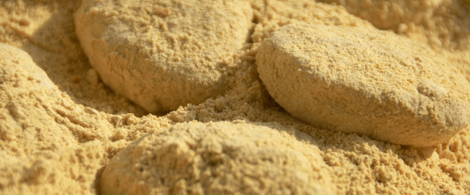 きなこ餅のイラスト